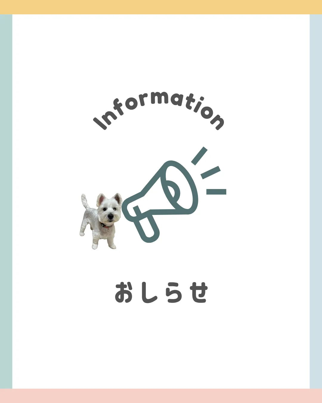 第2回 タウンクリーン